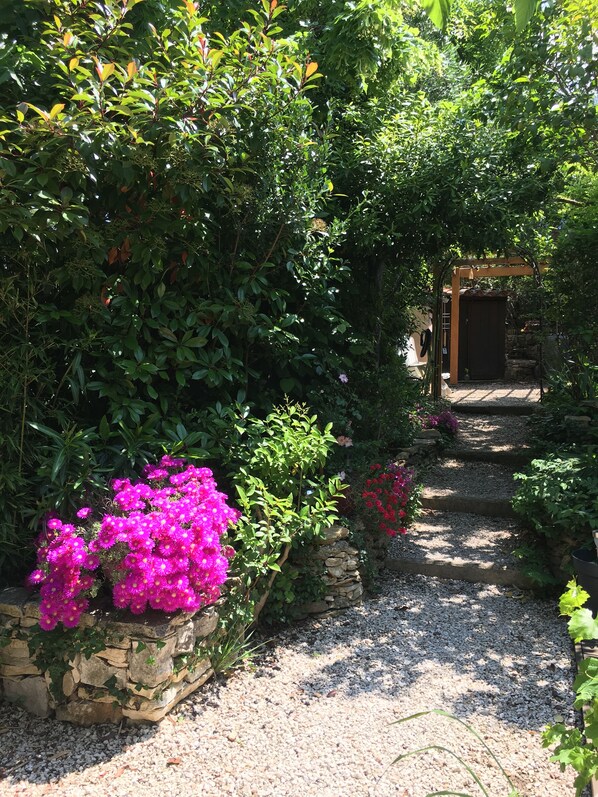 A garden pathway with a stone wall and vibrant pink flowers.