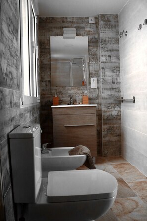 Shower, hair dryer, bidet, towels