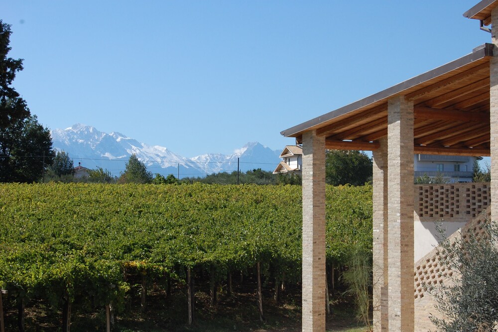 The Terrace - a lodging in Torre Mannella with sea view