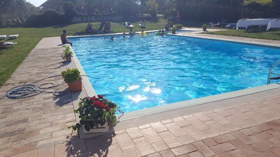 The Terrace - a lodging in Torre Mannella with sea view 