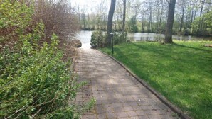 A paved pathway leading to a body of water, surrounded by greenery and trees.