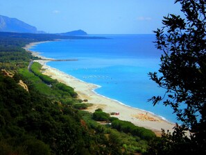 Playa