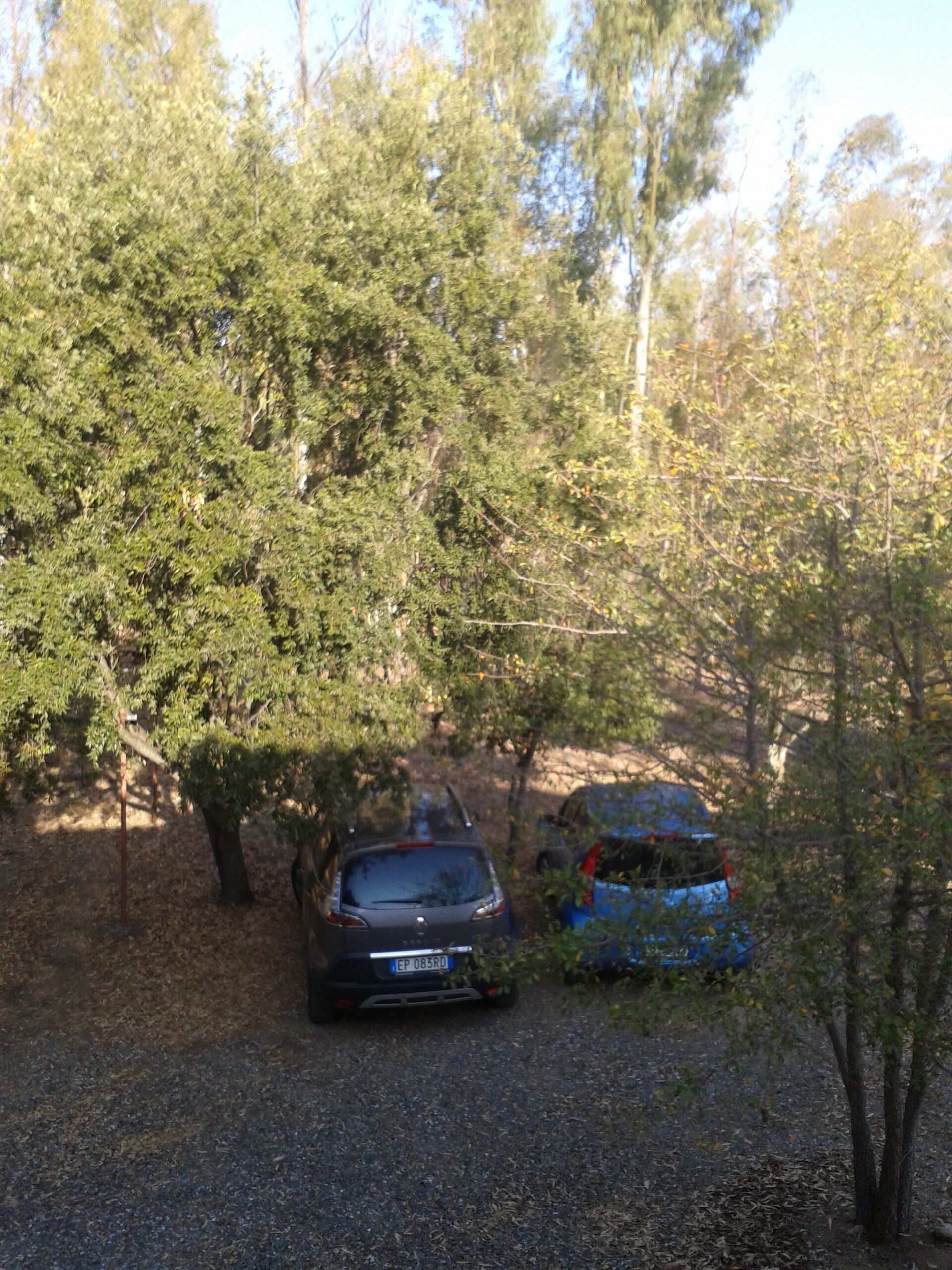 A car parked in a wooded area with trees and a gravel path.