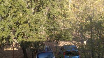 A car parked in a wooded area with trees and a gravel path.