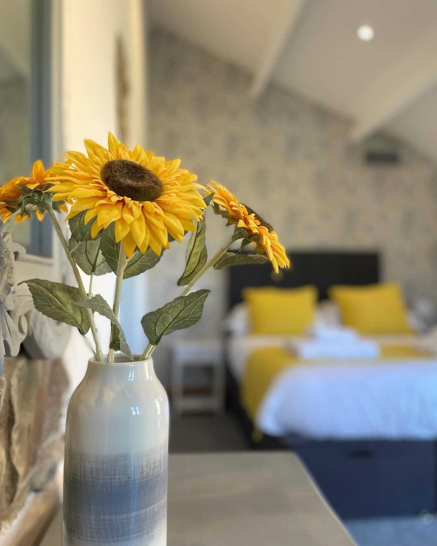 Five Barns With Great Coastal And Sea Views, Less Than 1 Mile From Widemouth Bay