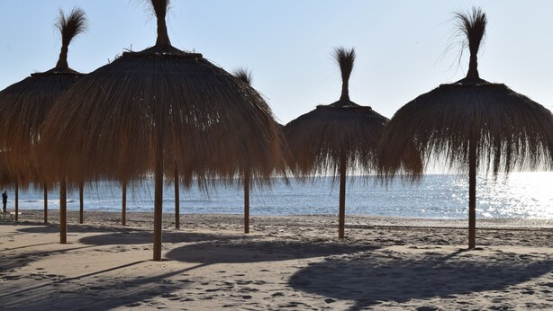 Een strand met rieten parasols en palmbomen.