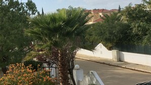 Eine Wohnstraße mit einer Palme und orangenen Blüten im Vordergrund, eine weiße Mauer mit einem Tor und ein Gebäude mit einem roten Dach im Hintergrund.