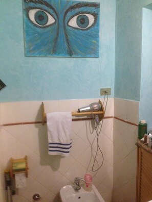 Shower, hair dryer, bidet, towels