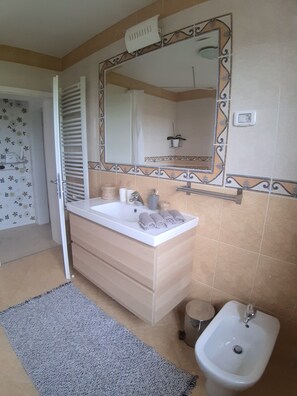 Combined shower/tub, hair dryer, bidet, towels