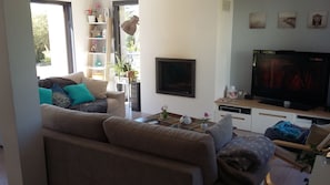 Fernseher, Kamin, DVD-Player, BĂŒcher
