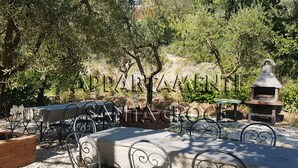 Un patio al aire libre con una mesa y sillas, rodeado de árboles y un horno de piedra.