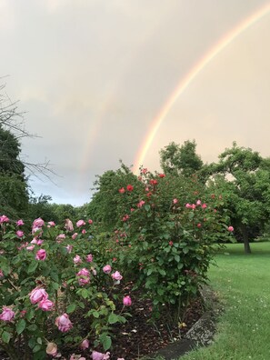 Property grounds - A pastoral setting within reach of seaside (12-25 kms) - Sleeps 6-8 (Manneville-La-Raoult)