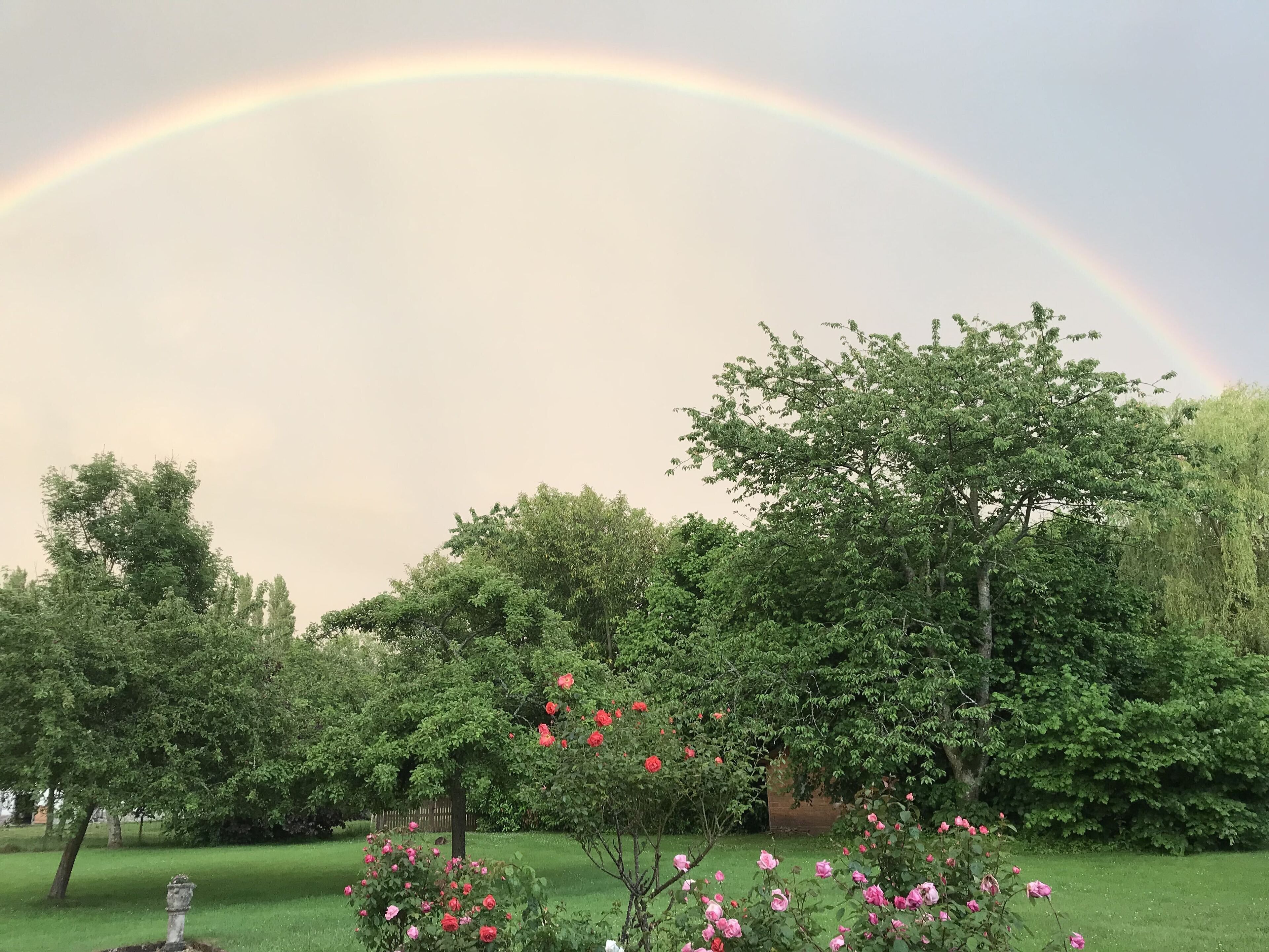 Un jardin où l’on peut admirer un arc-en-ciel, de grands arbres verdoyants et des fleurs roses et rouges en pleine floraison.