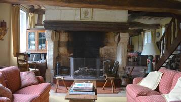 Télévision, cheminée, lecteur de DVD, livres