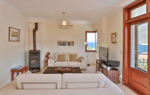 Smart TV, chimenea, reproductor de DVD, libros