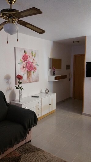 Televisie, een open haard en een dvd-speler