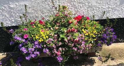 Charming Cottage Sidmouth Devon.Easy walk or cycle ride by river to beach.