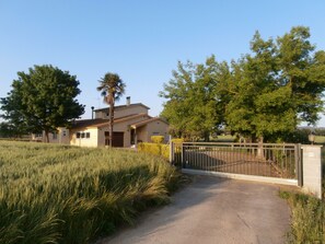 Exterior - Country house with pool (Fornells de la Selva)
