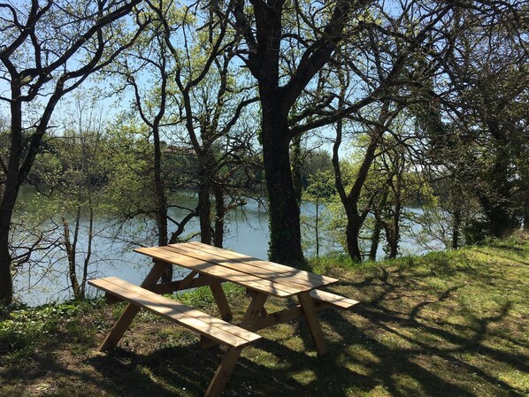 تناول الطعام بالخارج