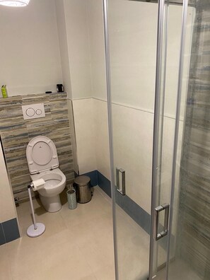 Combined shower/bathtub, hair dryer, bidet