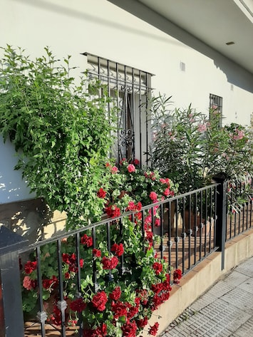 Pormenores do exterior