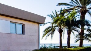 A modern building with large windows and a flat roof, surrounded by palm trees and a clear sky.