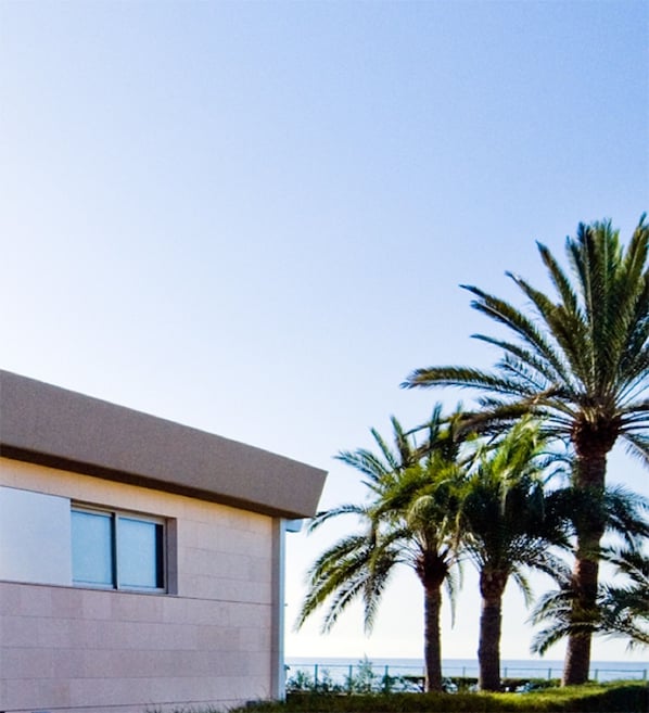A modern building with large windows and a flat roof, surrounded by palm trees and a clear sky.