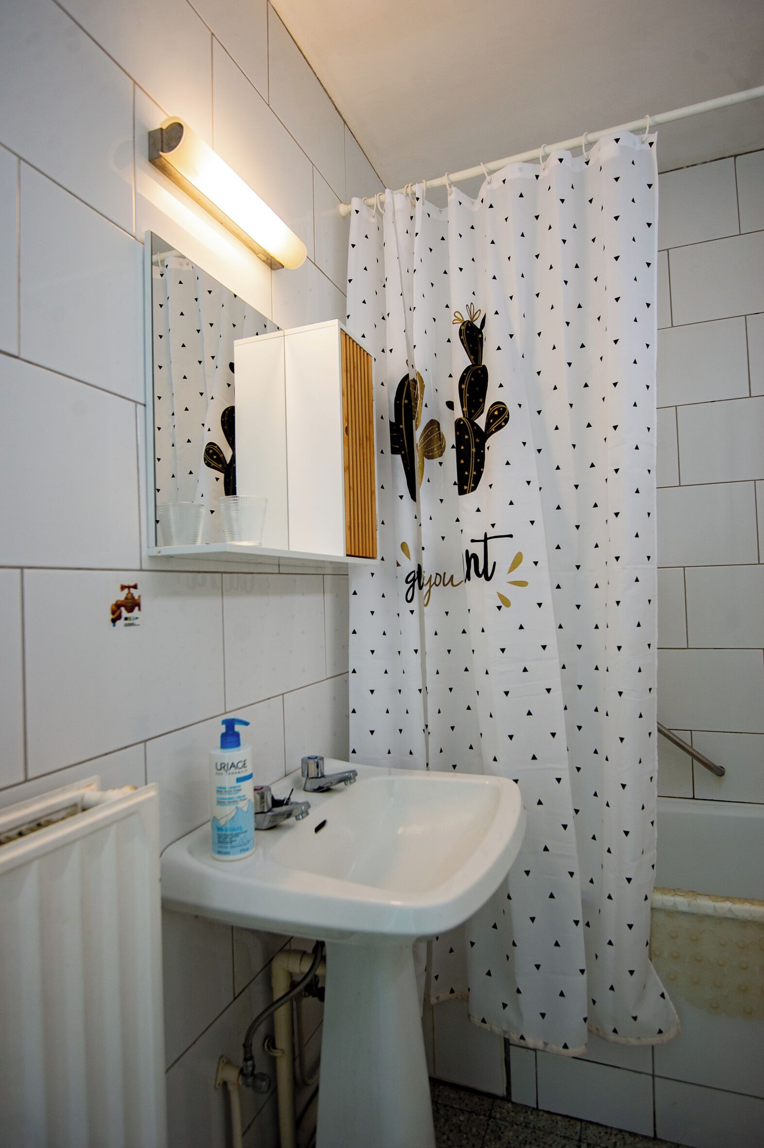 Bathtub, hair dryer, soap, toilet paper