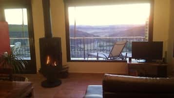 TV, fireplace, DVD player, stereo