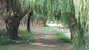 A pathway leading to a wooden structure in a wooded area with a pond. - Les Pins at La Cerniére with shared pool (Deneze sous Le Lude)