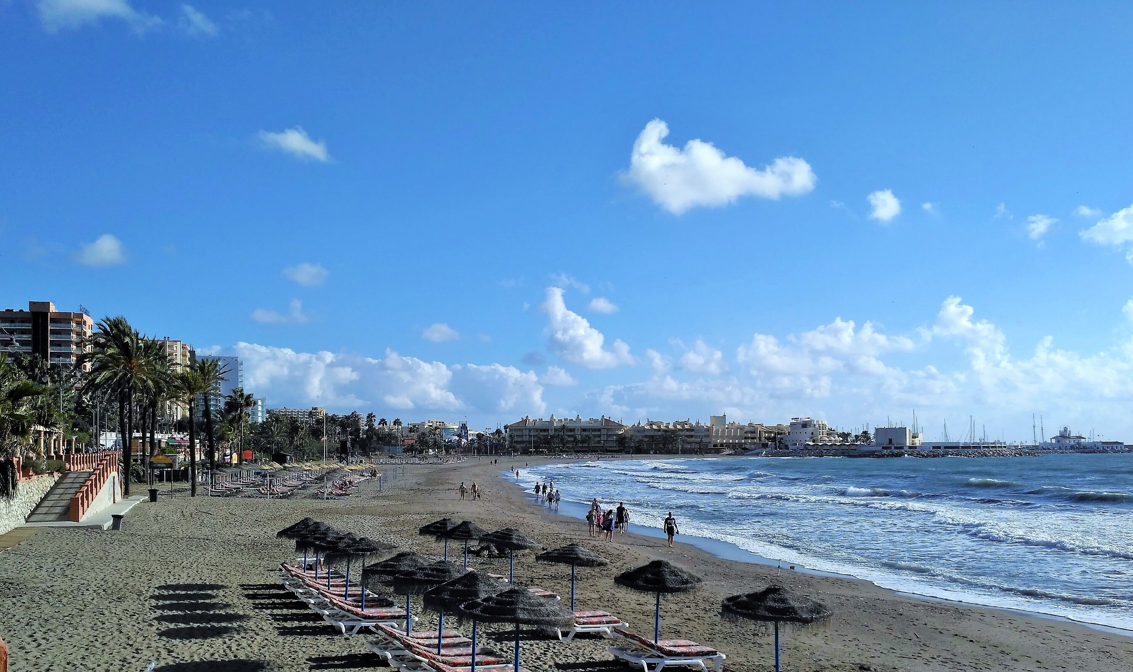 A beach with rows of sun loungers and umbrellas, a clear sky, and buildings in the background.