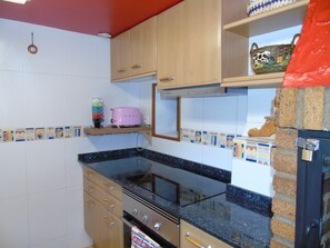 Fridge, microwave, oven, stovetop - Typical Andorran house (La Cortinada)