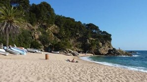 Una playa arenosa con barcos, una palmera y acantilados rocosos.