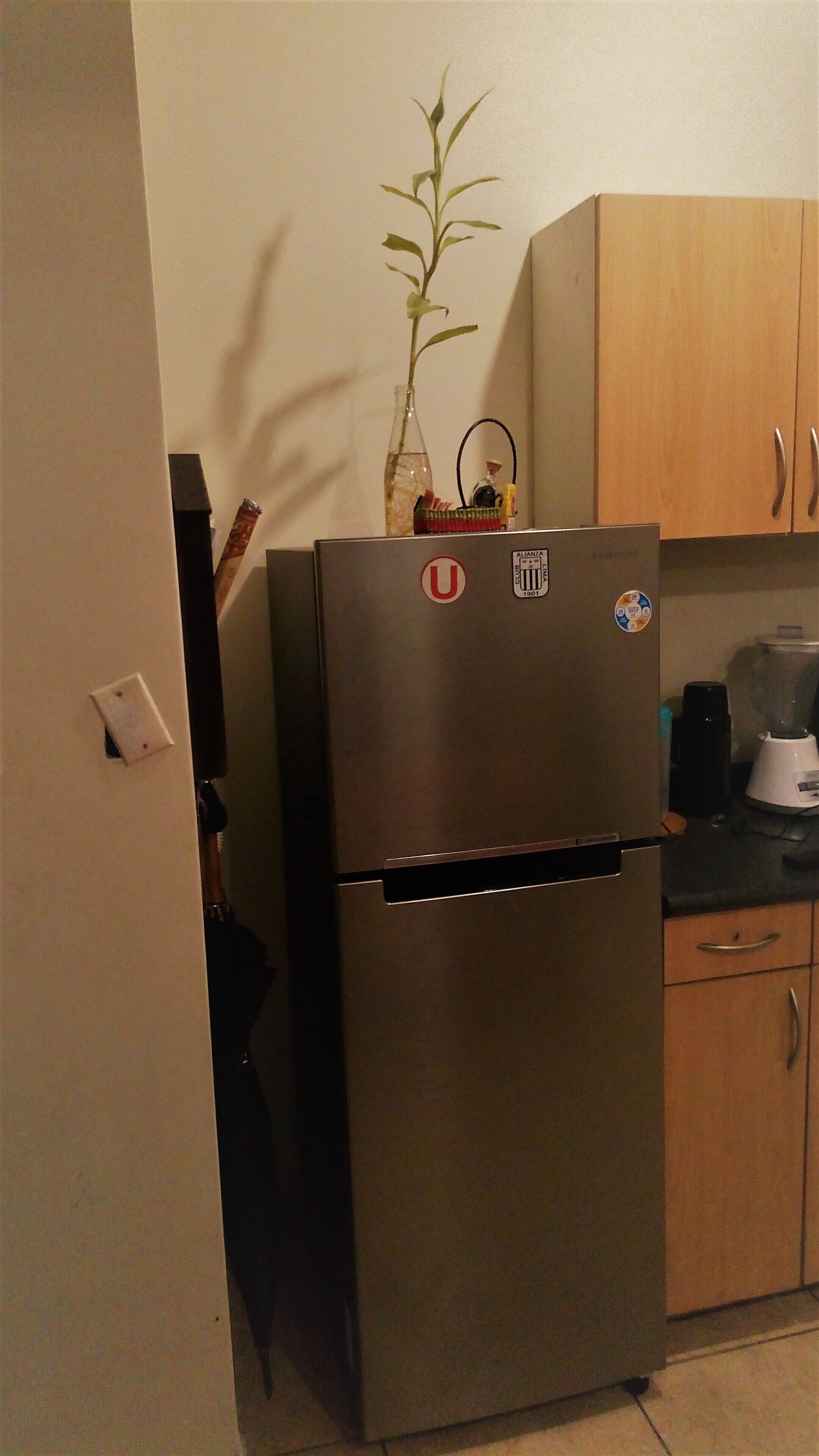 Experience Lima's Historic Center