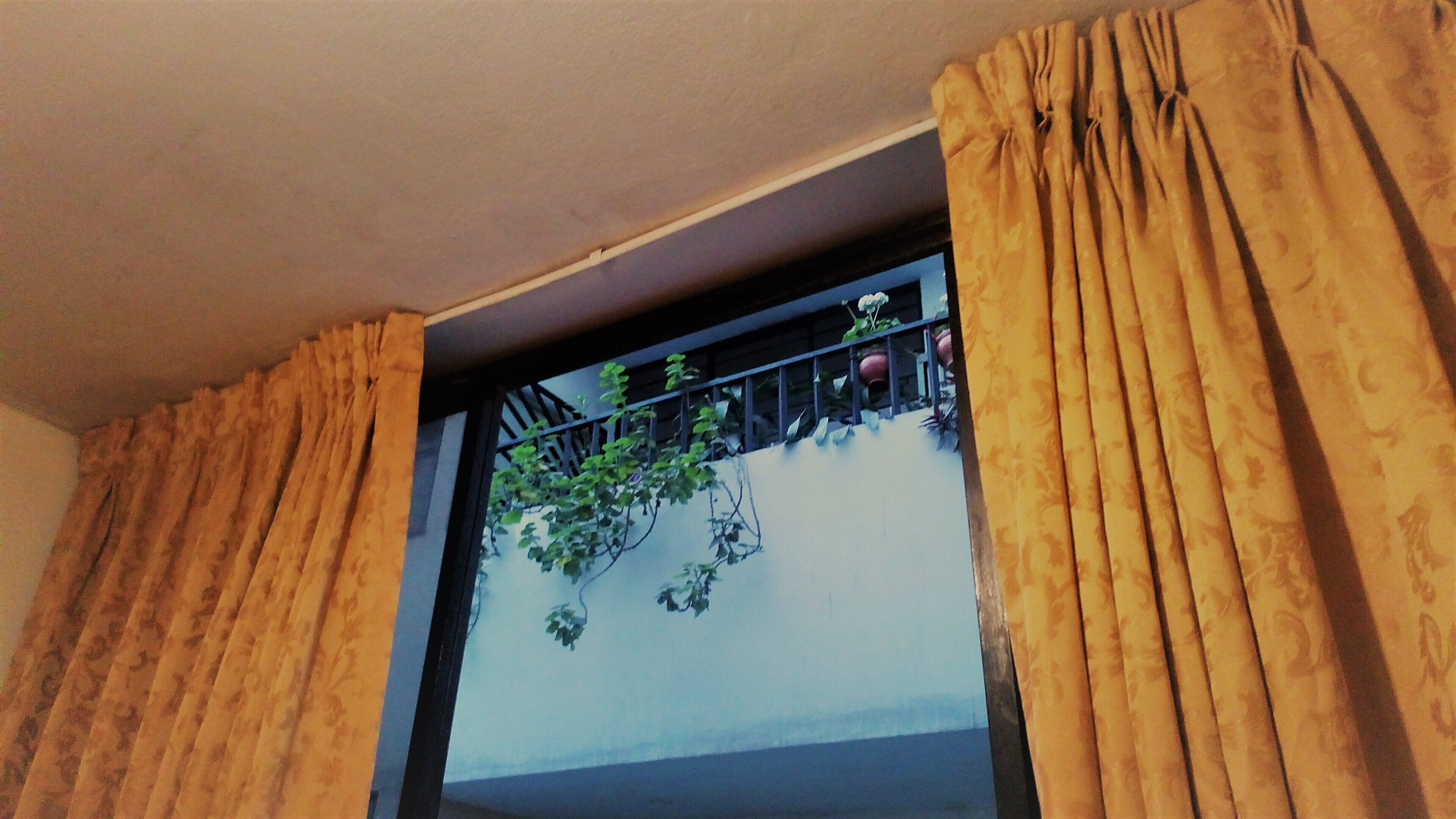 Experience Lima's Historic Center