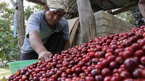 Alimentos y bebidas