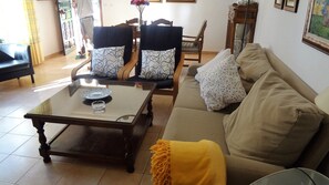 スマートテレビ、暖炉、DVD プレーヤー