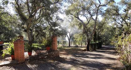 Maison rurale La Gallega. Charme et tranquillité dans la Sierra de Aracena.
