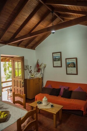 Flat-screen TV, books