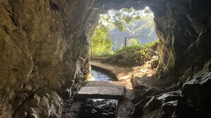 Un étroit passage creusé dans la roche, traversé par un ruisseau, et bordé de parois rocheuses.