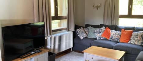 A living room with a TV, sofa, and a radiator.