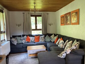 TV, DVD player, video library, stereo