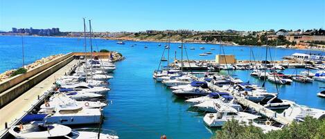 A marina with numerous boats docked, a clear sky, and a cityscape in the background.
