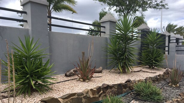 Un jardín ajardinado con diversas plantas, un muro de contención de piedra y una cerca de metal.