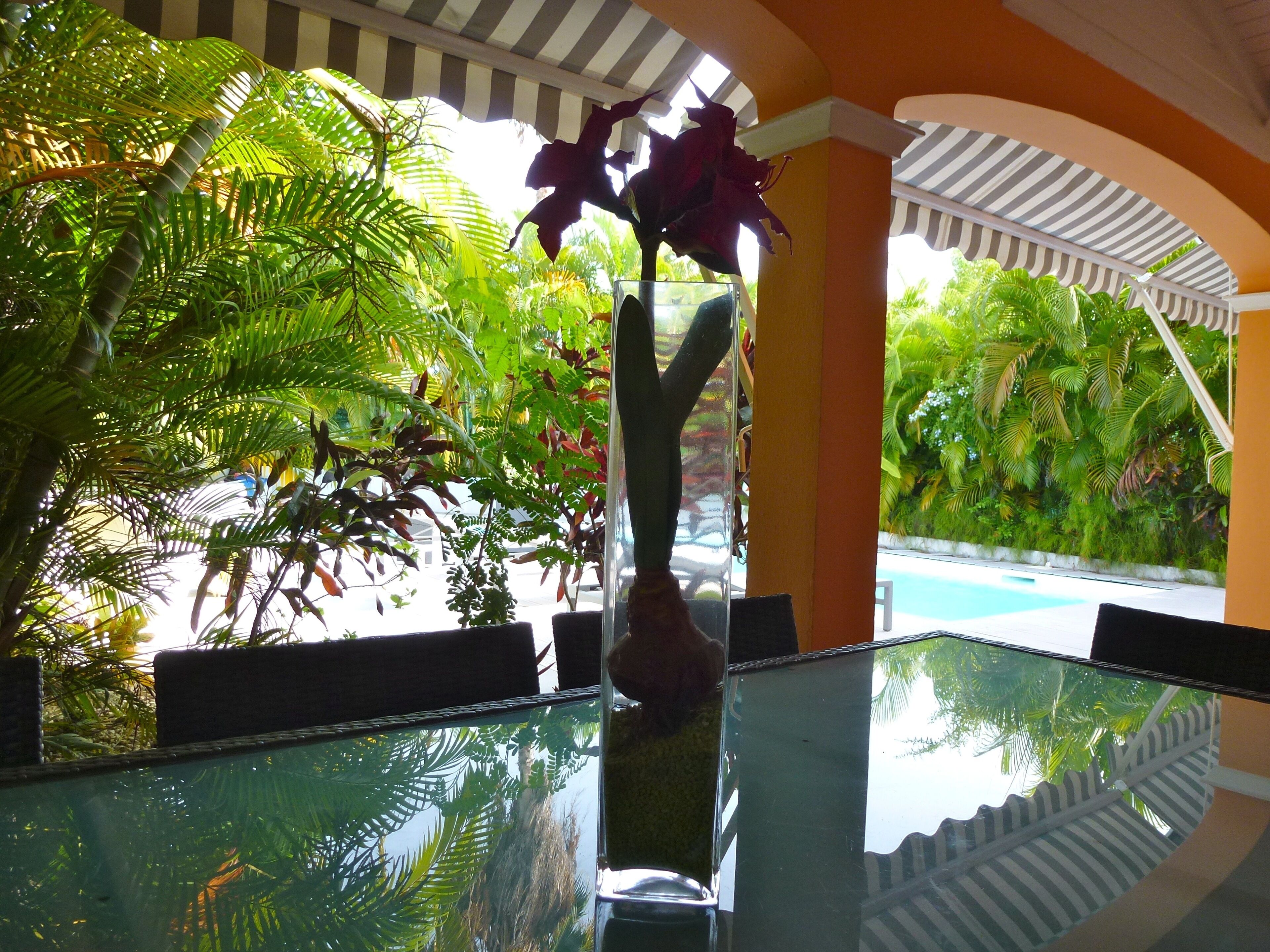 A glass table with a vase of flowers, surrounded by lush green foliage and a pool in the background.