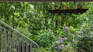 A covered outdoor area with a staircase, wicker chairs, and a table. - Villa with private pool in Lucca, special offers! (Capannori)