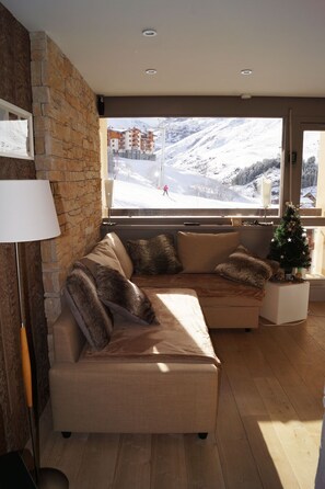 Télévision, cheminée, lecteur de DVD, livres