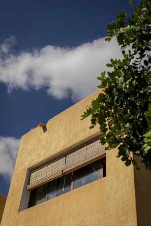 Een gebouw met een platte gevel, een raam met horizontale zonwering en een boom op de voorgrond.