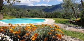 Una piscina rodeada por un jardín con flores amarillas, con colinas verdes y un cielo despejado al fondo.
