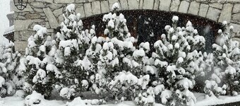 NEW Squaw Valley - in the heart of the old town